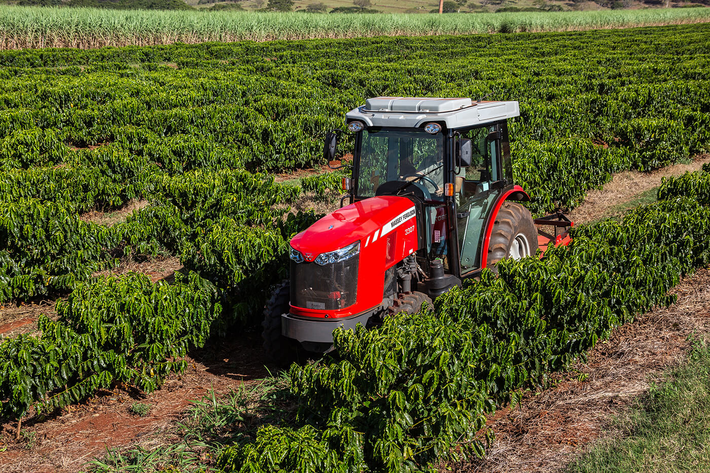 MANUAL DE SERVIÇO MASSEY FERGUSON - MF3300 - 2019 - TRATOR
