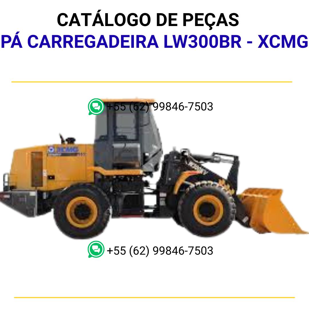 CATALOGO DE PEÇAS PDF PÁ CARREGADEIRA LW300BR - XCMG