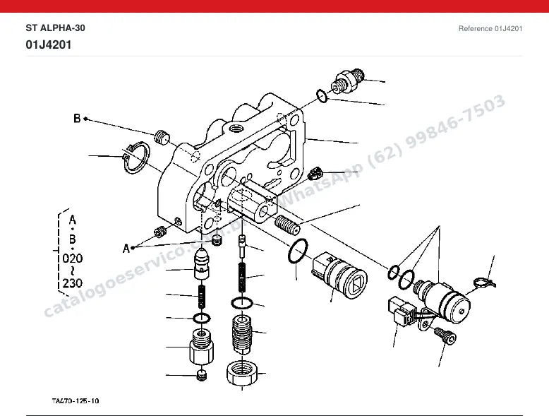 Catálogo de peças Kubota ST Alpha-30: vista explodida (2)