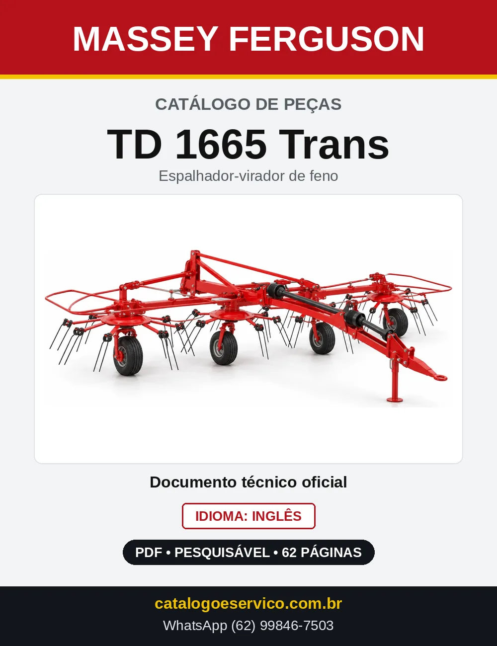 Capa do Catálogo de Peças Massey Ferguson TD 1665 Trans — Espalhador-virador de feno