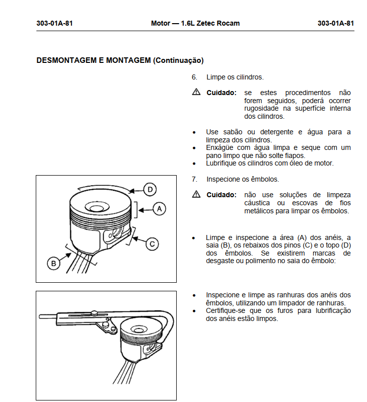 Manual Reparação Serviço Motor Ford Zetec Rocam 1.6l 8v
