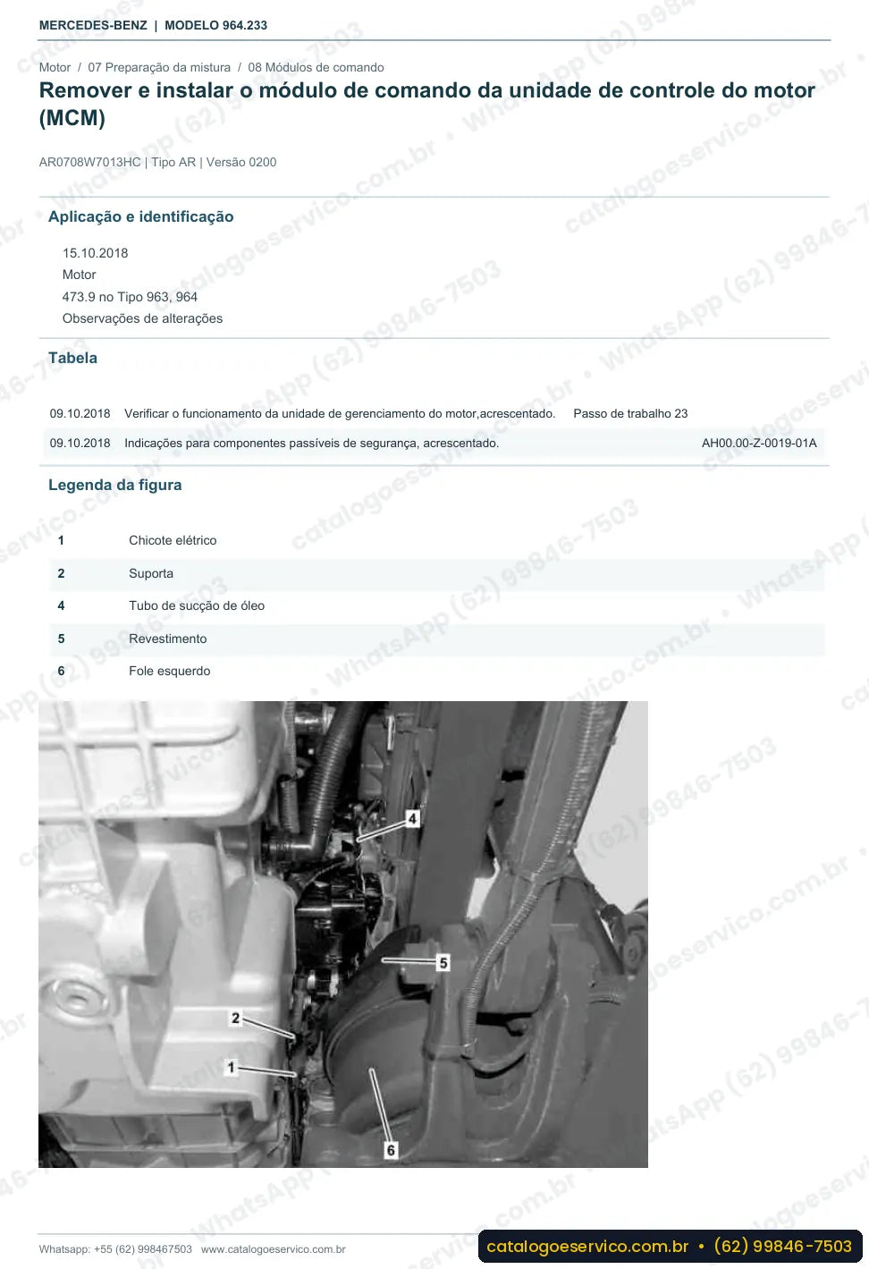 Página de procedimento do manual de oficina Mercedes-Benz Actros 4163 AK