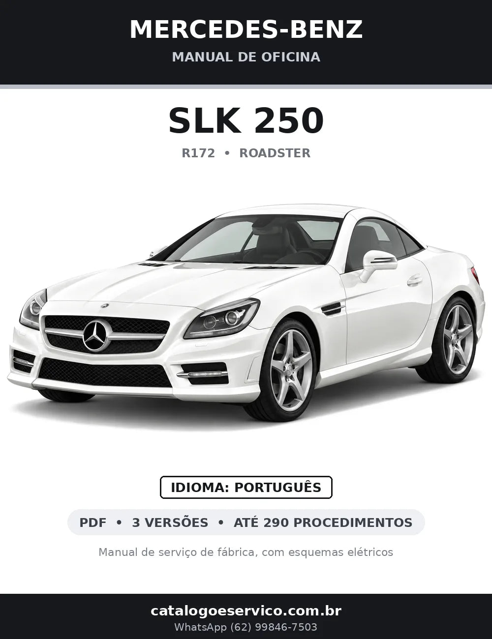 Capa do manual de oficina Mercedes-Benz SLK 250 (R172)