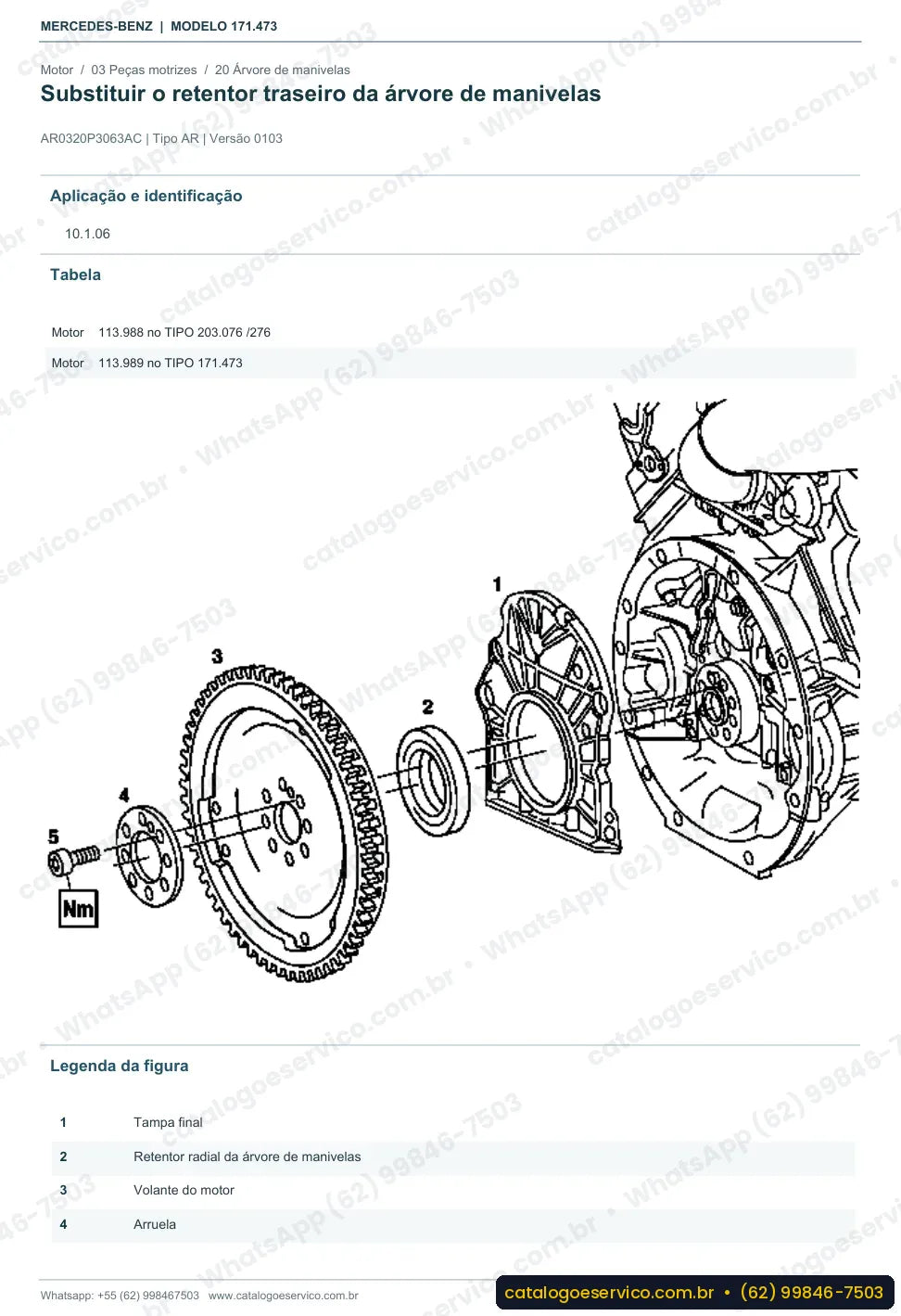 Página de procedimento do manual de oficina Mercedes-Benz SLK 55 AMG (R171)