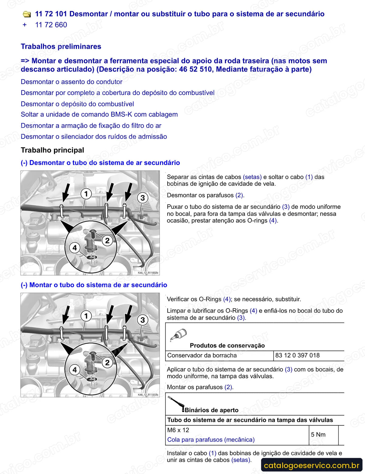 Página do Manual de Serviço BMW S 1000 RR 2010 a 2016 com procedimento ilustrado (2)