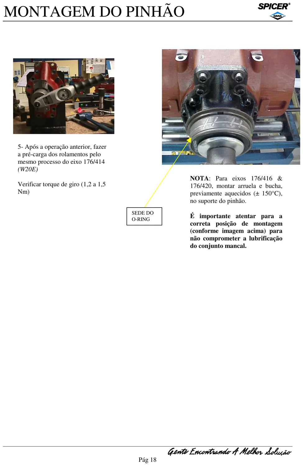 Manual de Serviço Dana Spicer Eixos 176/413 a 176/420 - W20E, 621D, FW140 e FR12B — página 1 do documento