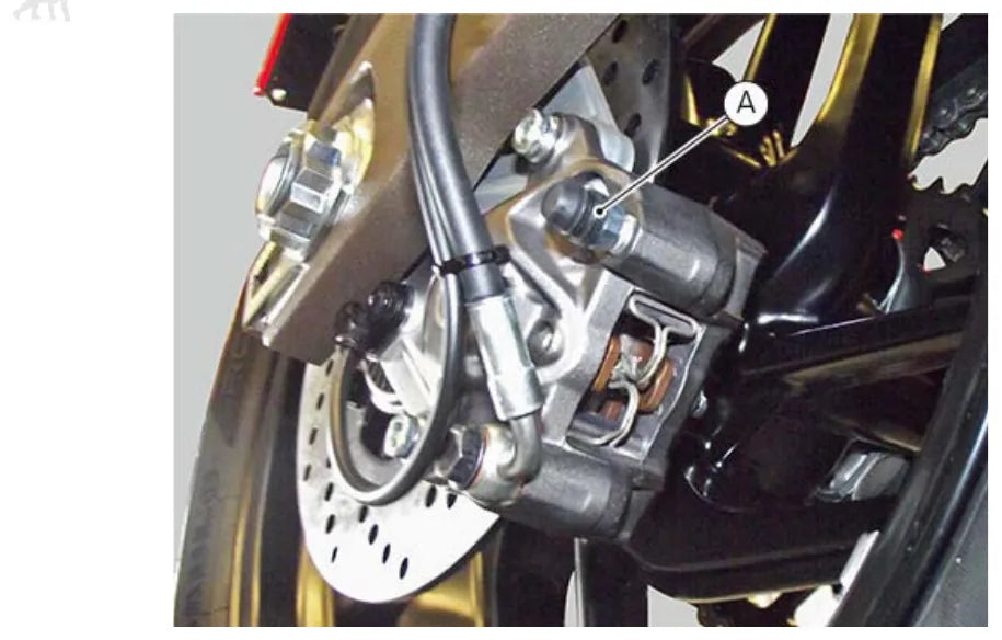Página interna 2 — Ducati Monster 821