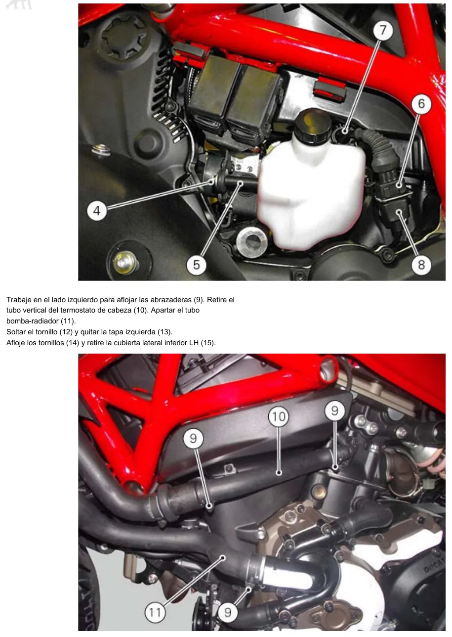 Página interna 4 — Ducati Monster 821