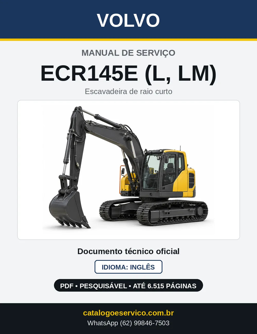 Capa do Manual de Serviço Volvo ECR145E (L, LM) em PDF