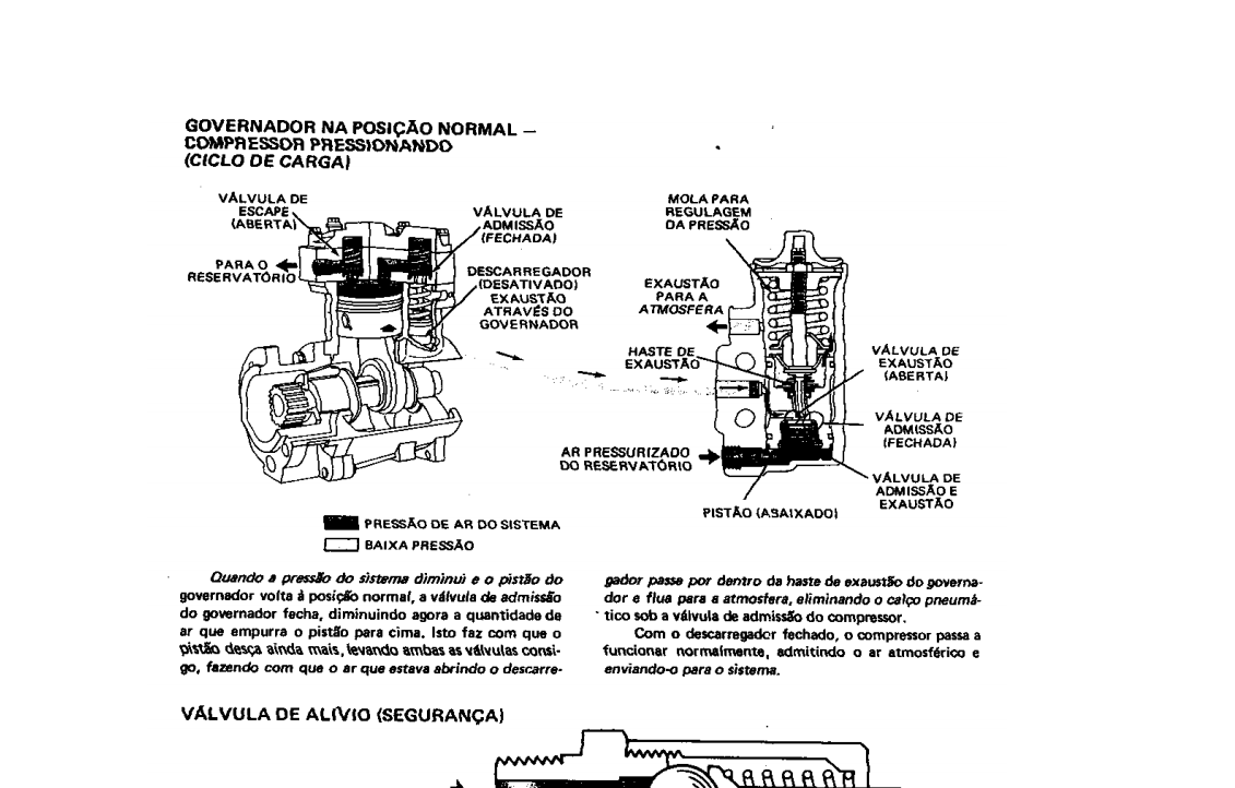 Manual de Servico Michigan 45C 55 55C 75III 75HD 125C Em Portugues PDF