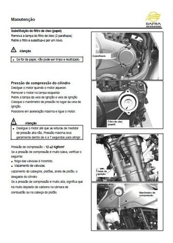 Manual De Serviços - Dafra Next 250