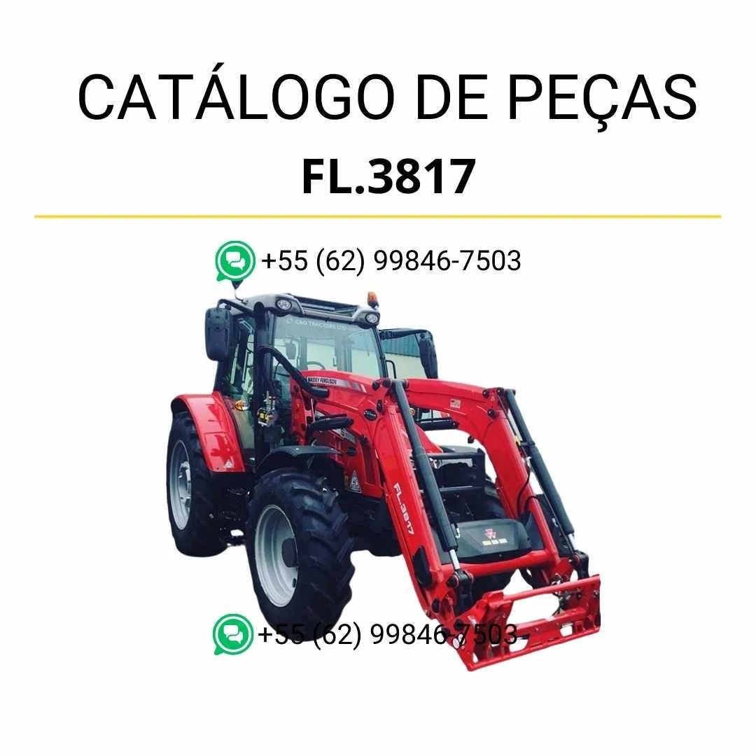 Catálogo de peças Massey Ferguson FL3817 em PDF com lista detalhada de componentes e ilustrações técnicas do carregador frontal