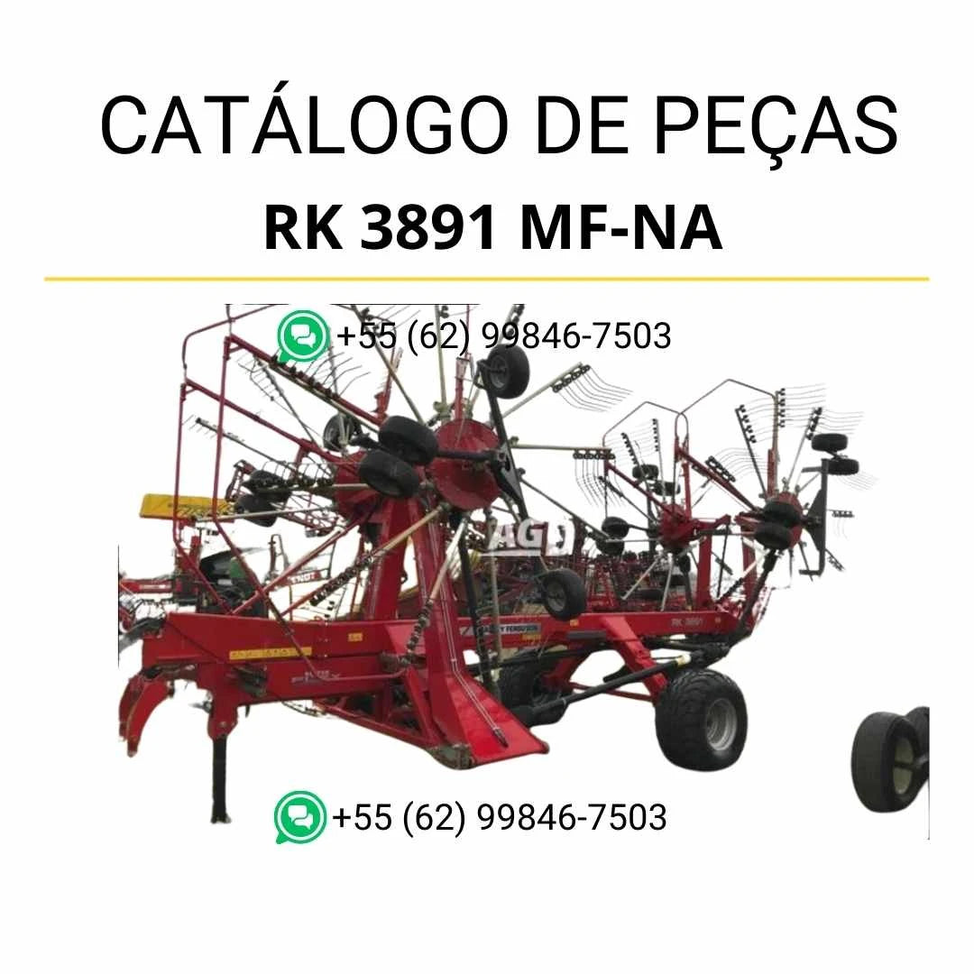 Catálogo de peças Massey Ferguson RK 3891 NUF em PDF com diagramas ilustrados e detalhamento completo dos componentes