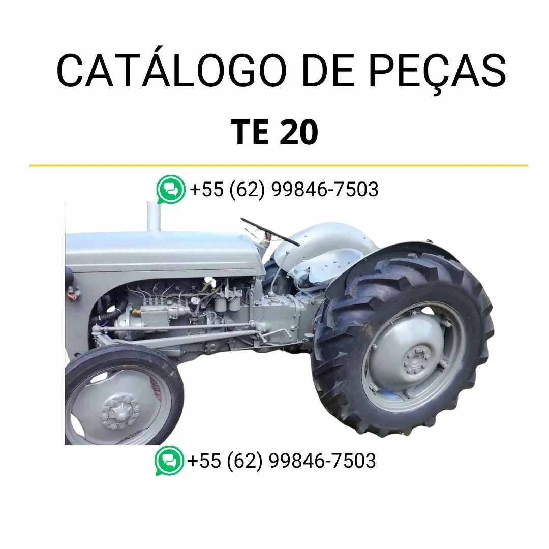 Catálogo de peças PDF Massey Ferguson TE20 para trator, com ilustrações técnicas e identificação detalhada de componentes originais.