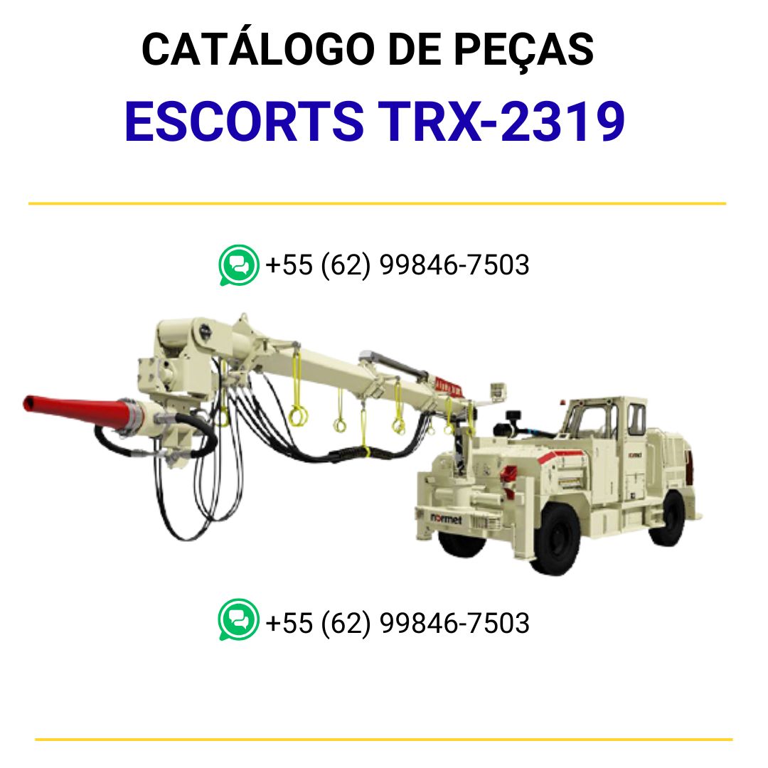 CATALOGO DE PEÇAS PDF GUINDASTE TRX-2319 - ESCORTS
