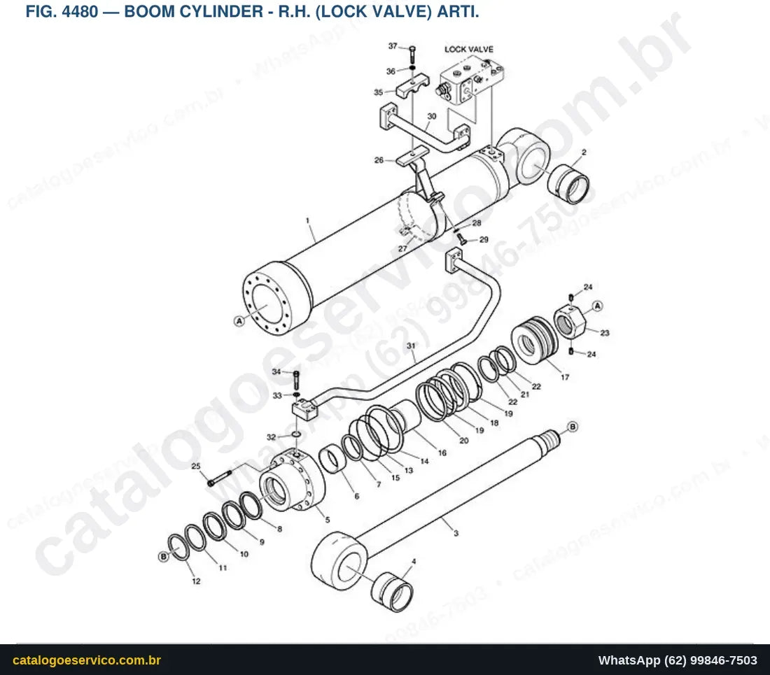 Vista explodida Boom Cylinder - R.H. (Lock Valve) Arti. - Catálogo de Peças Doosan DX190W-5