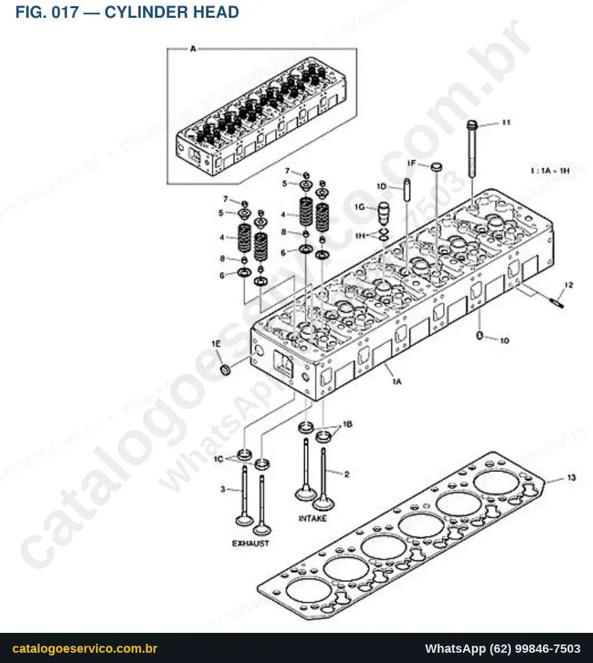 Vista explodida Cylinder Head - Catálogo de Peças Doosan DX255LC (DI EXP)