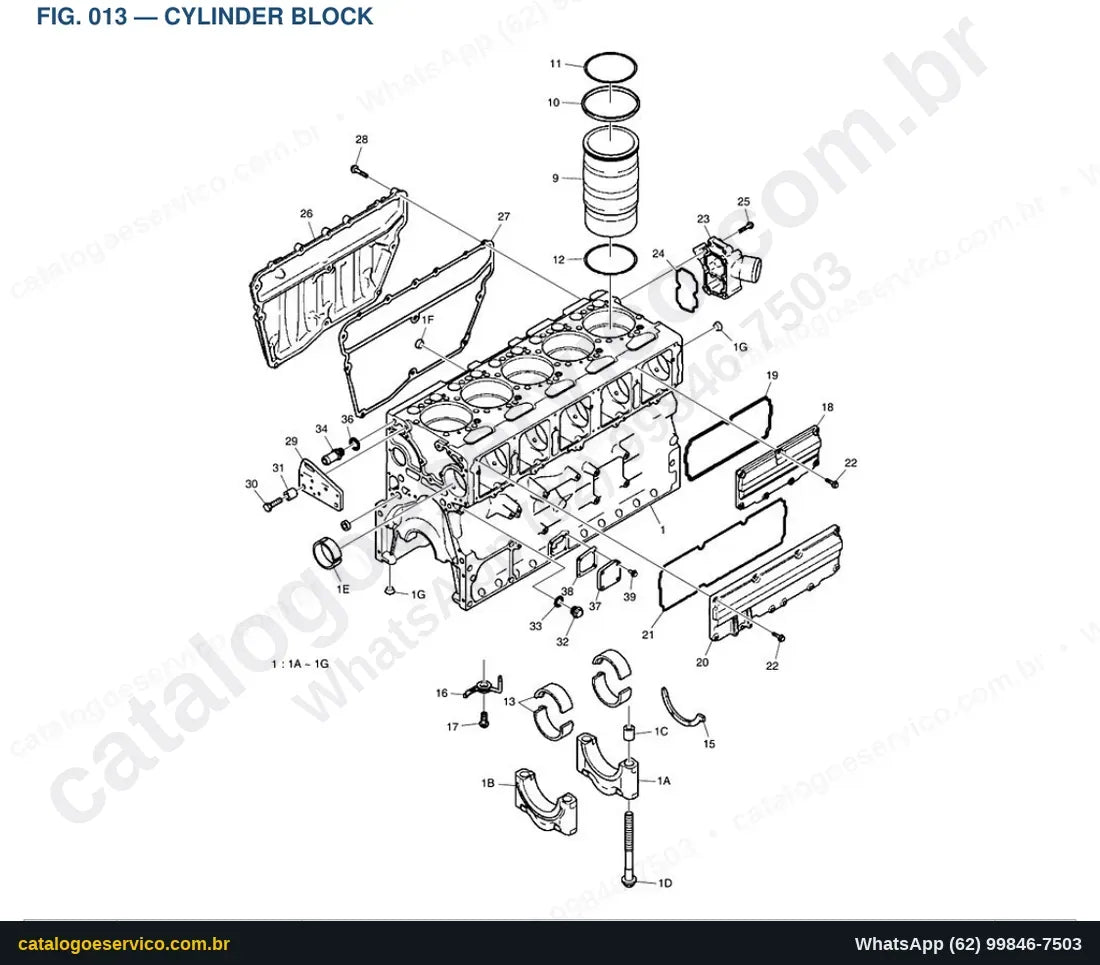 Vista explodida Cylinder Block - Catálogo de Peças Doosan DX380LL-5