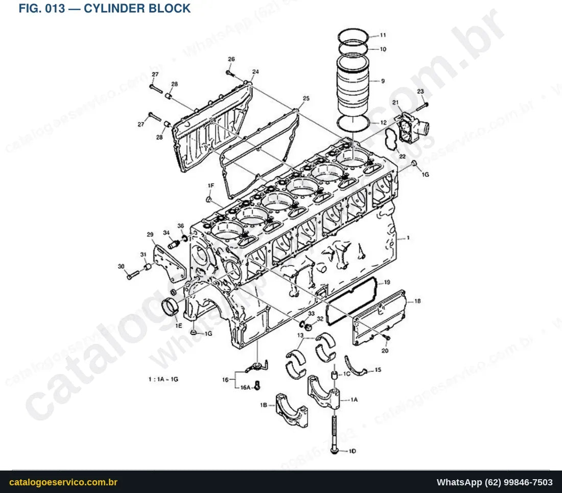 Vista explodida Cylinder Block - Catálogo de Peças Doosan DX420LC-5
