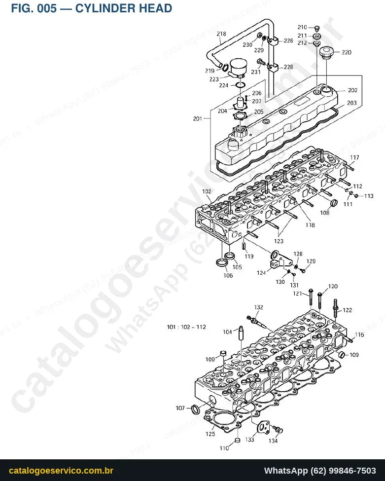 Vista explodida Cylinder Head - Catálogo de Peças Doosan Solar 140W-V Rail Way