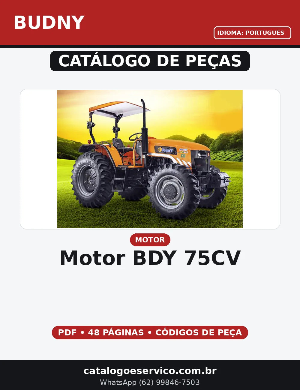 CATALOGO DE PEÇAS MOTOR BDY  75CV  BUDNY — capa do catálogo de peças
