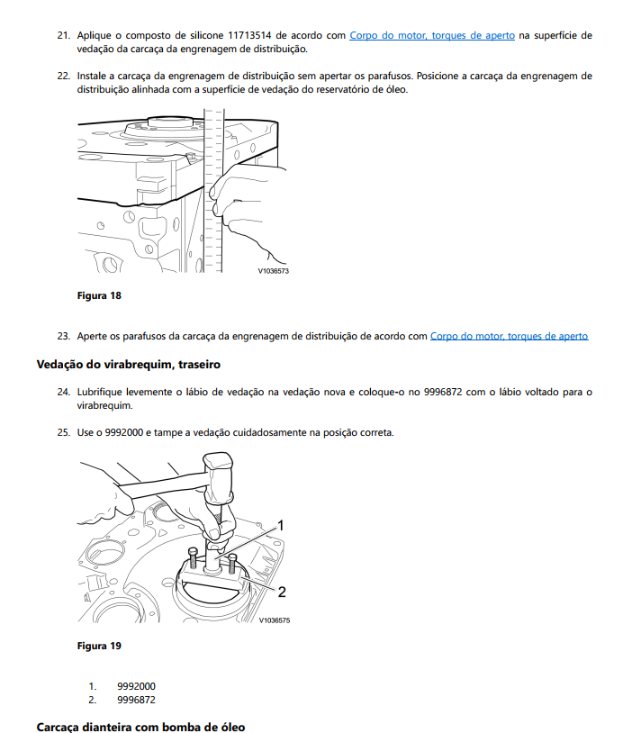 manual de oficina Volvo Motor D5D - página interna sobre sistema de injeção