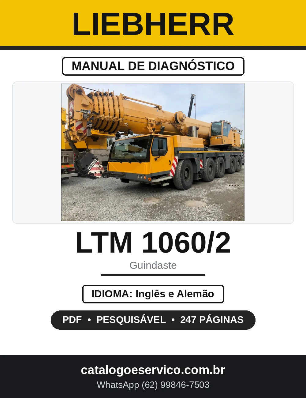 Manual de Diagnóstico LICCON Liebherr LTM 1060/2 — capa