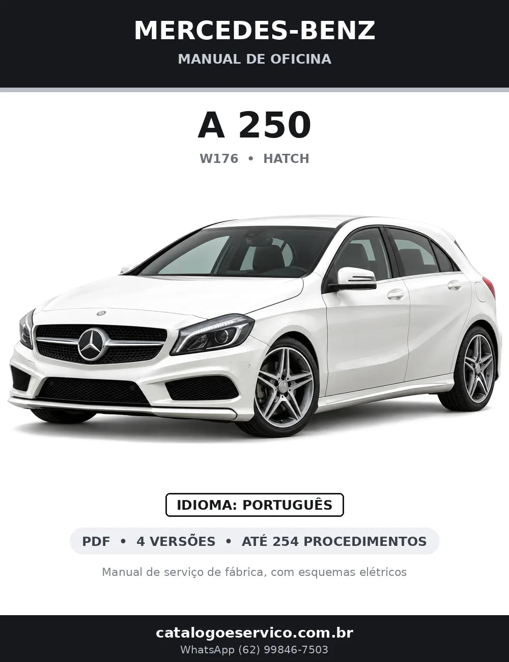 Capa do manual de oficina Mercedes-Benz A 250 (W176)