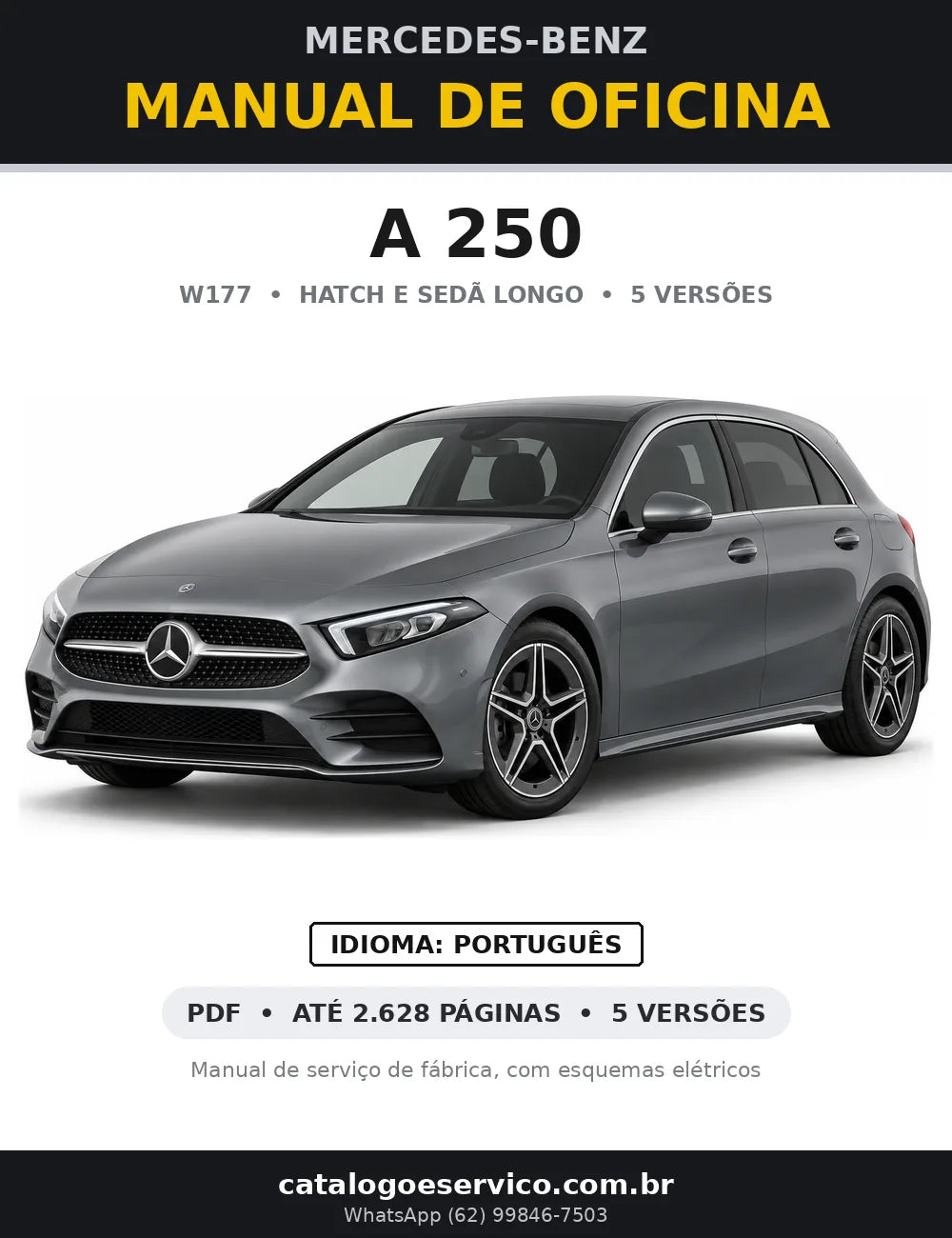 Capa do manual de oficina Mercedes-Benz A 250 (W177)