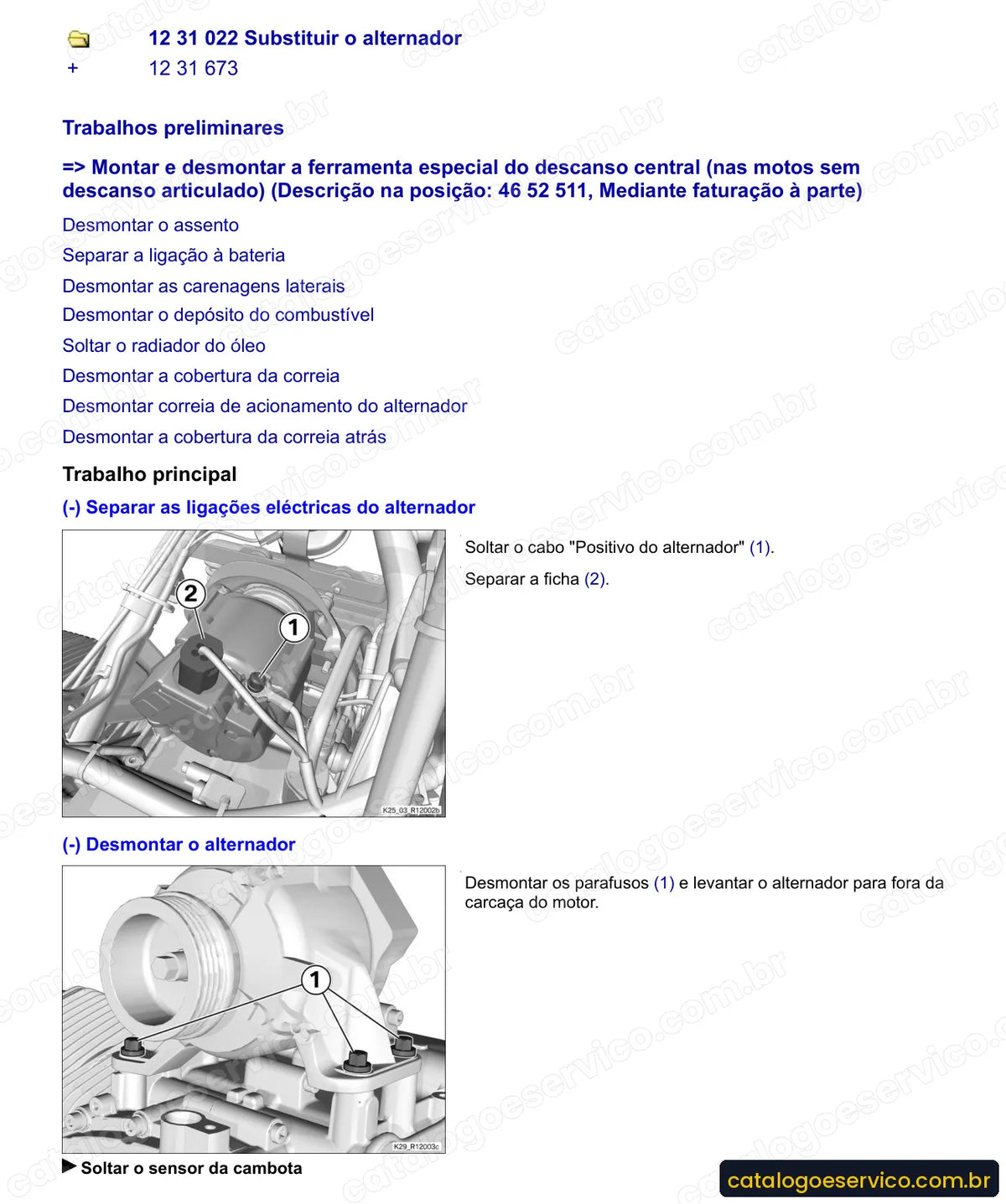 Página do Manual de Serviço BMW HP2 Megamoto 2007 com procedimento ilustrado (2)
