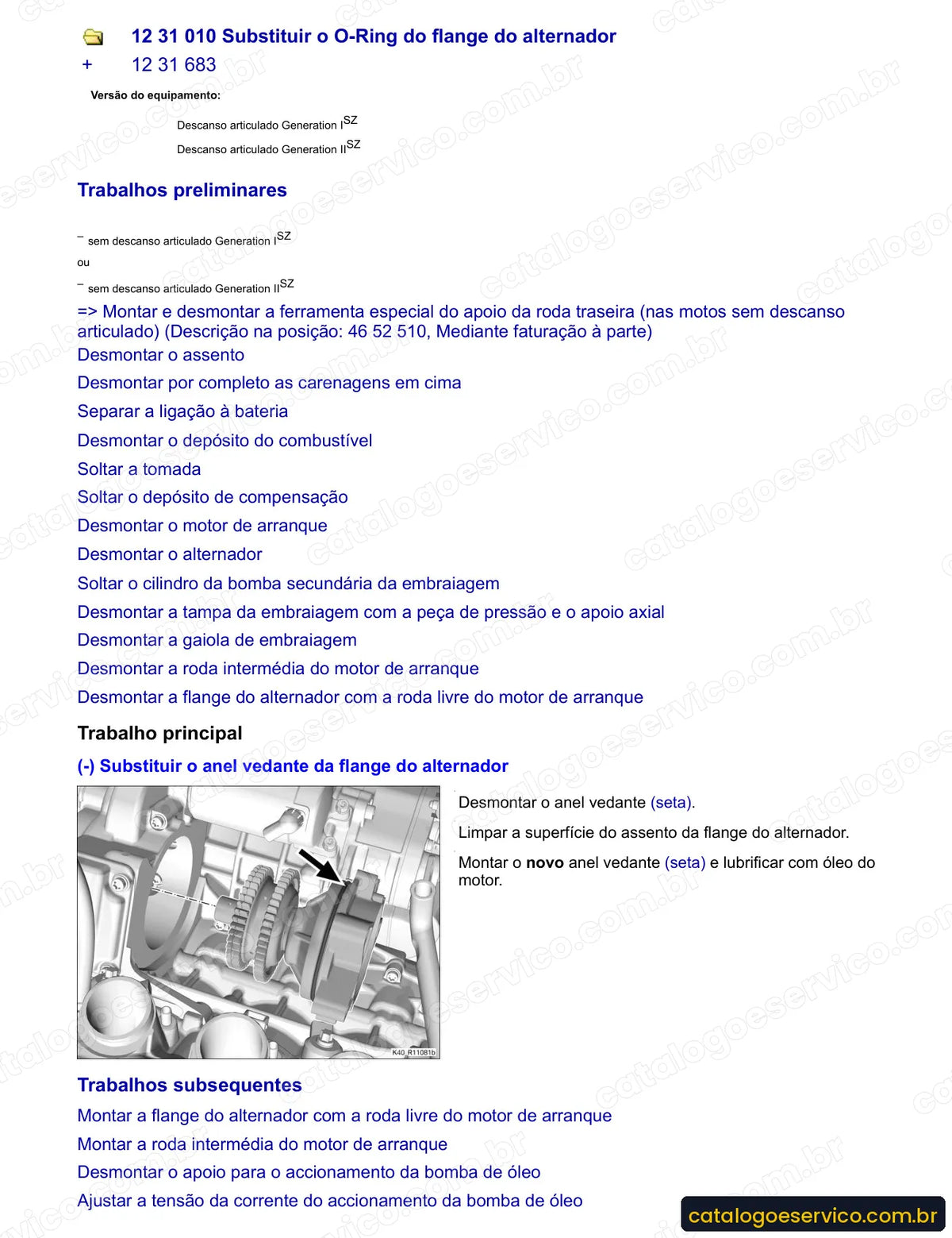 Página do Manual de Serviço BMW K 1300 R 2009 com procedimento ilustrado (1)