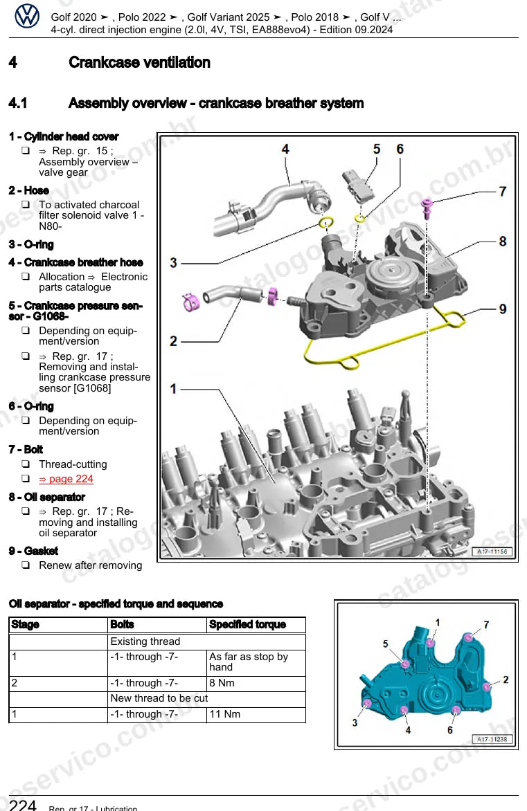 Página ilustrada do manual de serviço do motor 2.0 TSI EA888 evo4 (DSFF) — Golf, Golf Variant e Polo — figura 2
