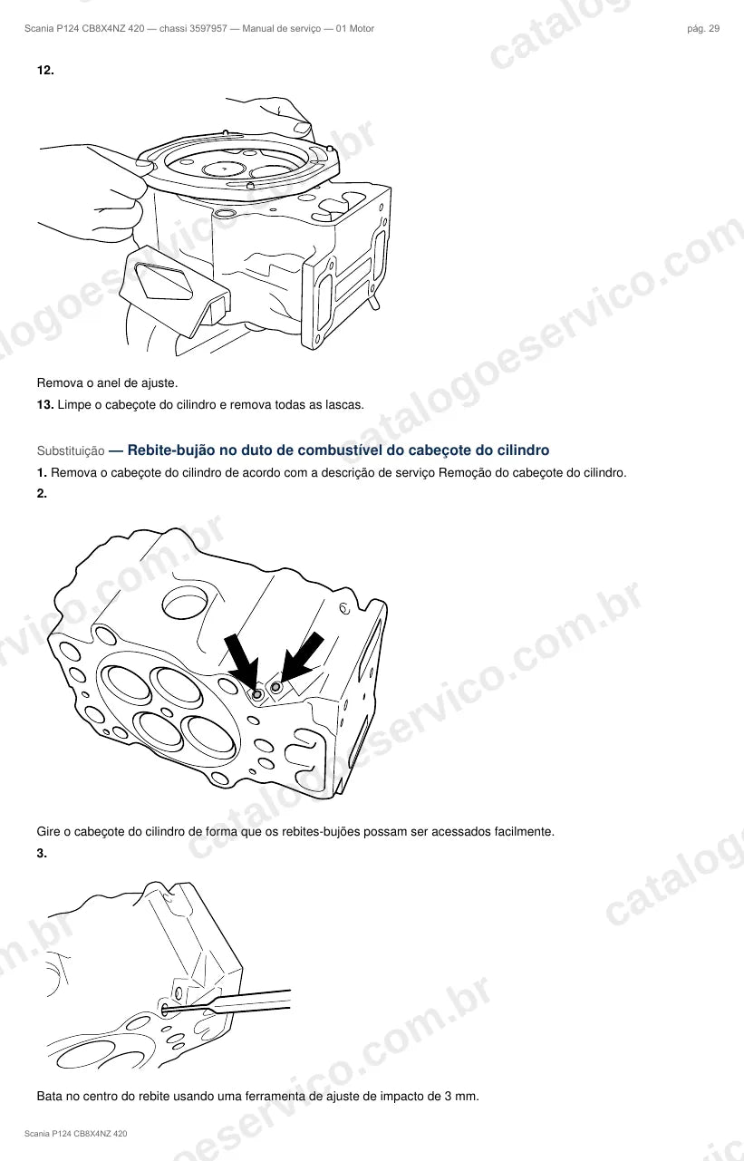 Ilustração do grupo motor no Manual de Serviço Scania P 124