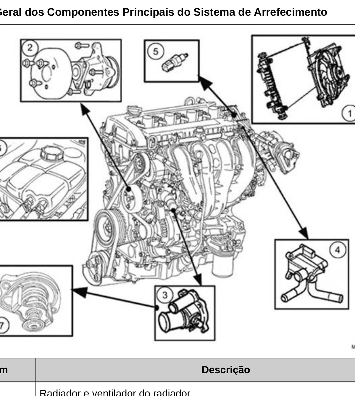 FORD Motor 2.0 Duratec HE — figura técnica — página interna do manual de serviço