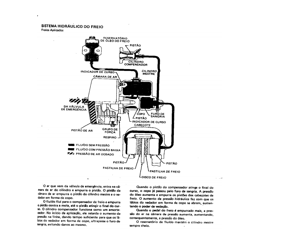 Manual de Servico Michigan 45C 55 55C 75III 75HD 125C Em Portugues PDF