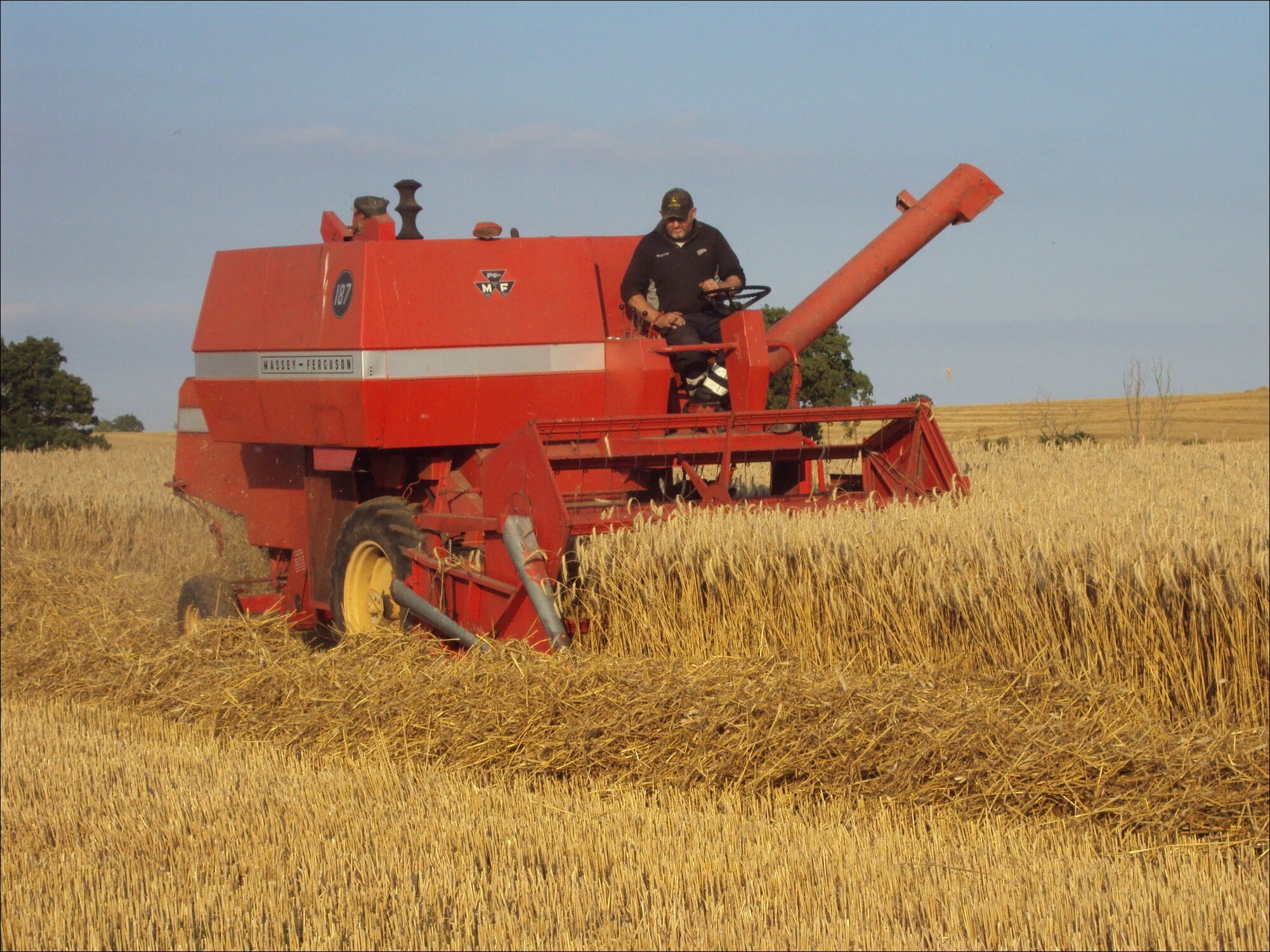 Catalogo De Peças MASSEY FERGUSON - MF 187 COMBINE - Colheitadeira