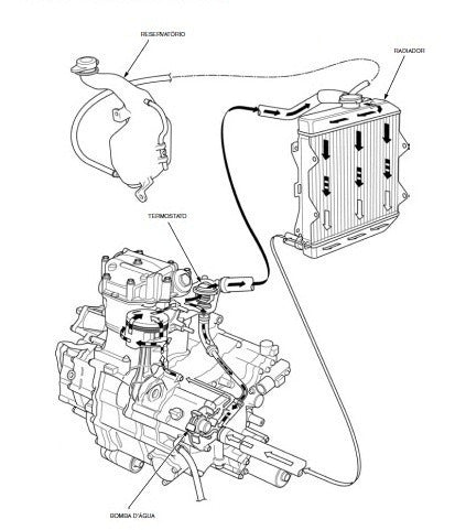 Manual De Serviços - Honda Trx 420 2014/2015