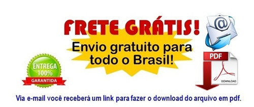 Manual De Serviços - Dafra Super 100