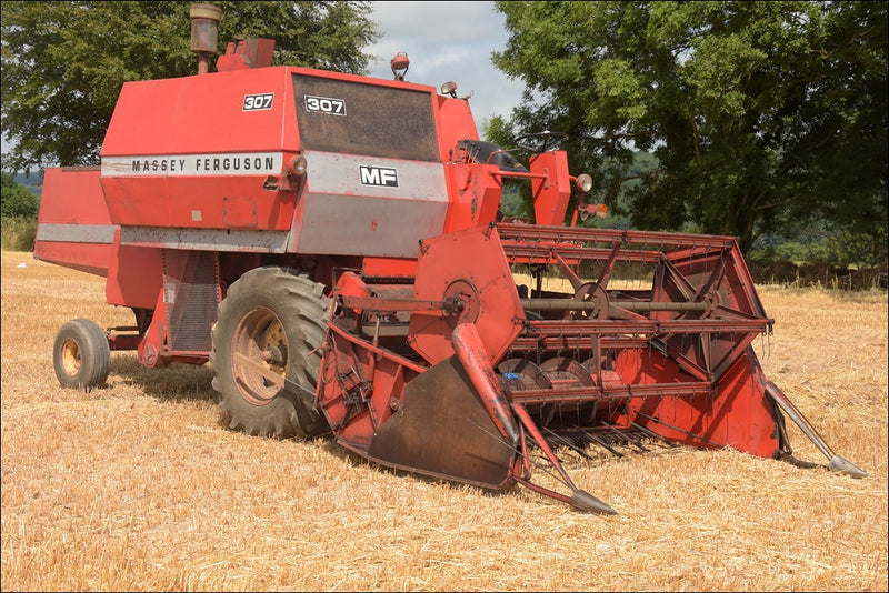 Catalogo De Peças MASSEY FERGUSON - MF 307 COMBINE ENGINE