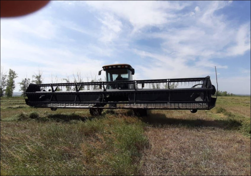 Catalogo De Peças CHALLENGER - SP85B WINDROWER - Colheitadeira