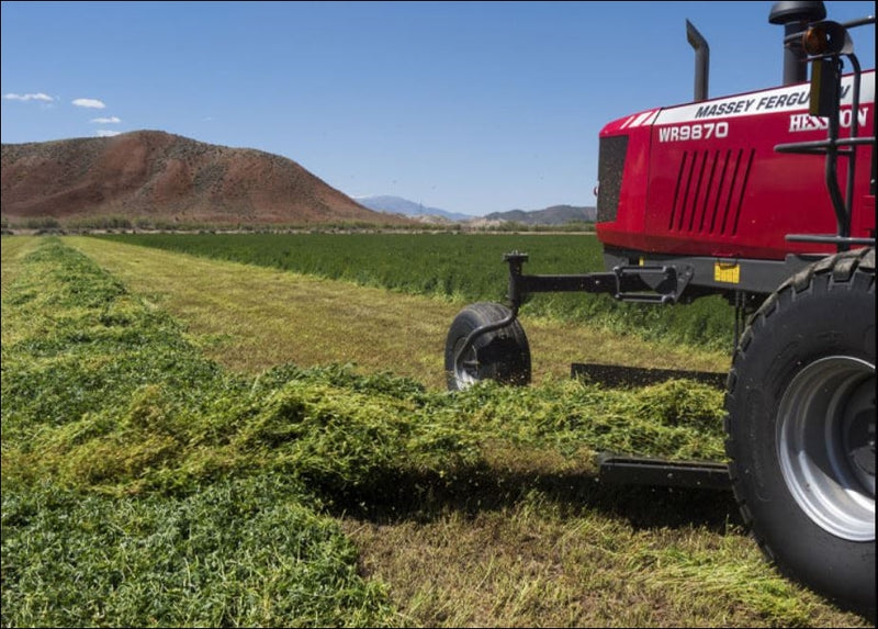 Catalogo De Peças MASSEY FERGUSON - WR9970 WINDROWER - Trator